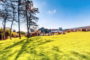 Ard Solus Mews, Ballyedmonduff Road, Stepaside, Dublin 18, D18V2X4 - 35